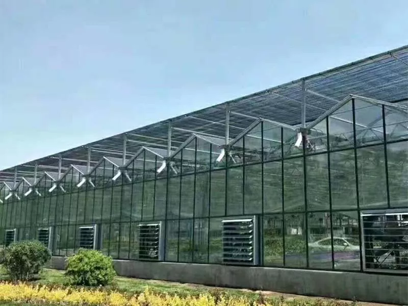 Jaké plodiny lze pěstovat na ocelové vertikální farmě?
