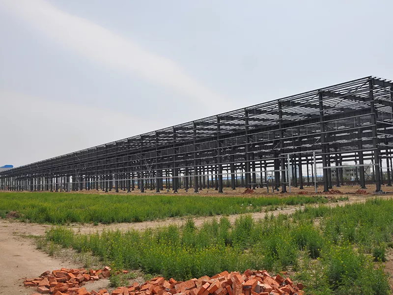 Sestavy Steel Warehouse Building